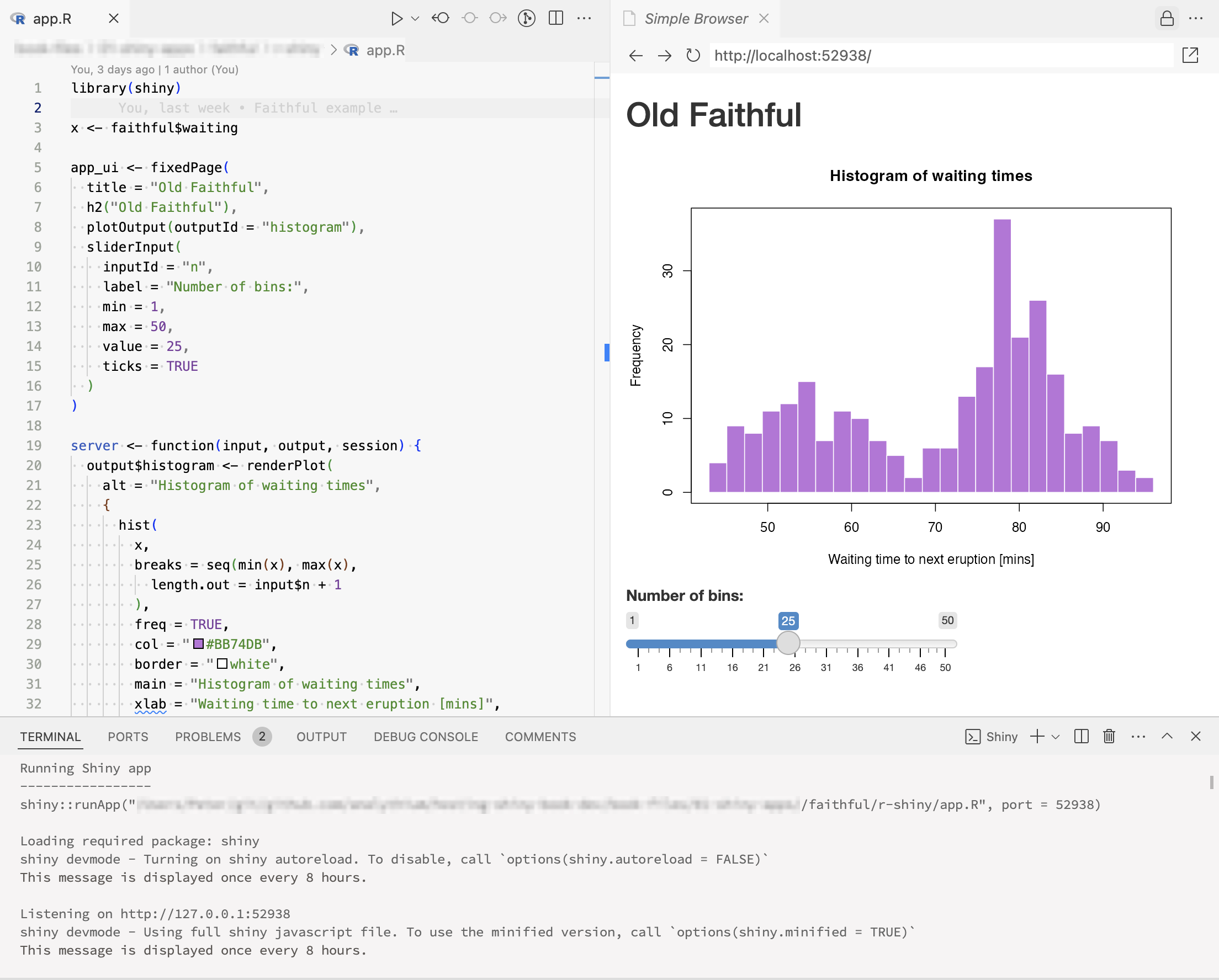Running an R Shiny app in the VS Code IDE with the Shiny extension.