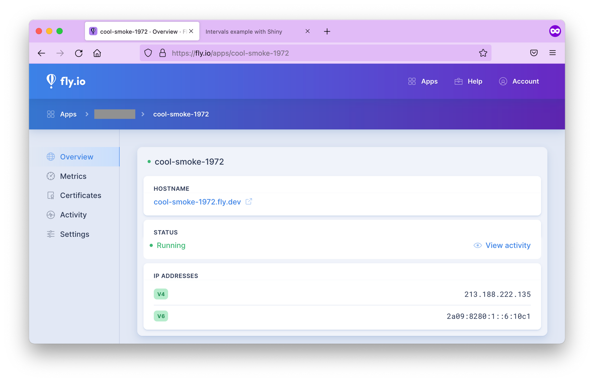 The Fly.io dashboard for the app.