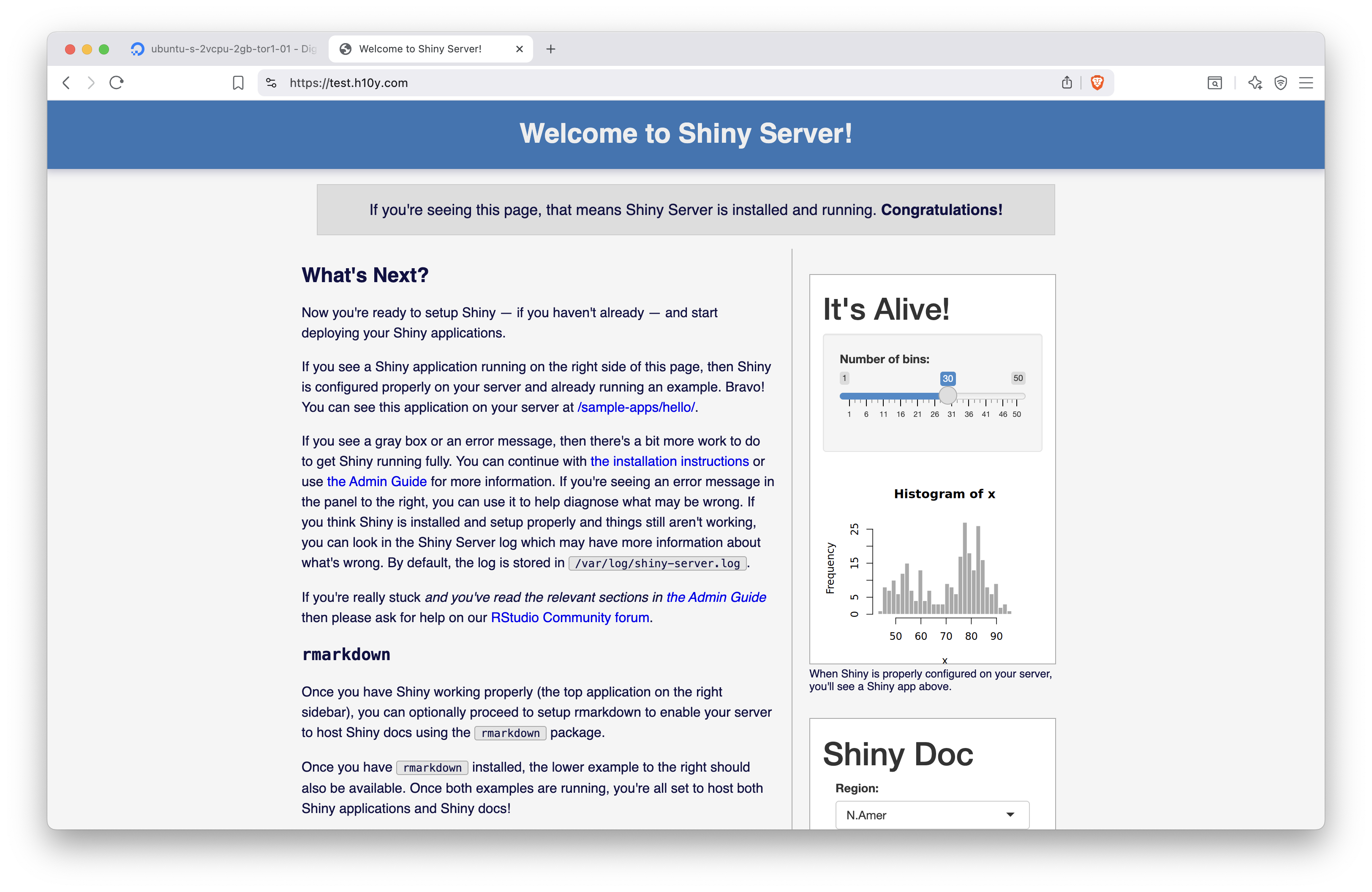 Shiny Server set up with Caddy server and HTTPS.